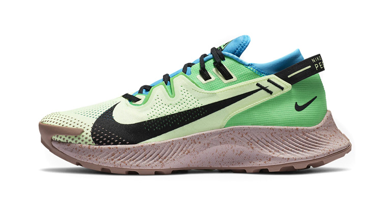 Nike Pegasus trail 2