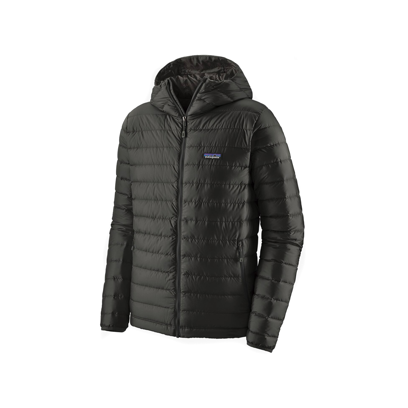 Patagonia Down Sweater Hoody