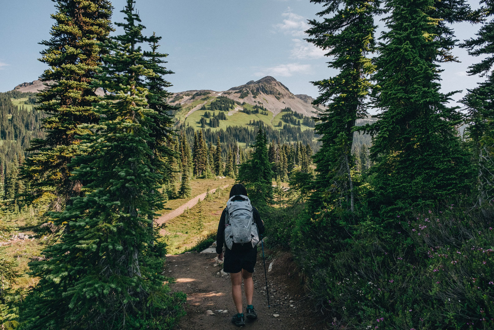 Paagoworks ZENN 35 EXP Pack Review